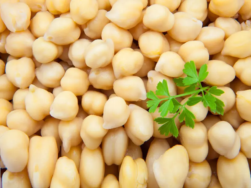 16 Incredible Health Benefits Of Chickpeas (Garbanzo Beans)