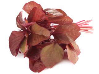15 Research-Based Red Spinach Benefits For Skin, Hair & Health