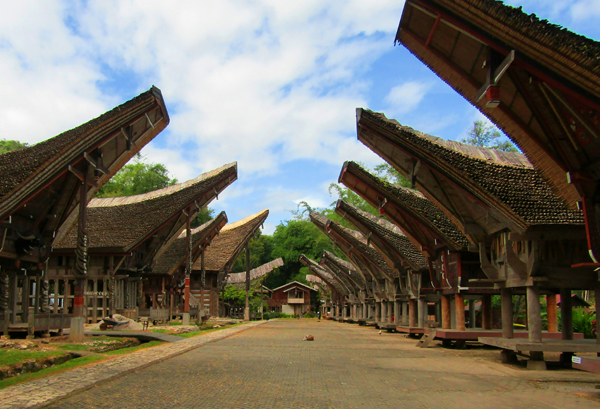 Toraja Houses In Indonesia