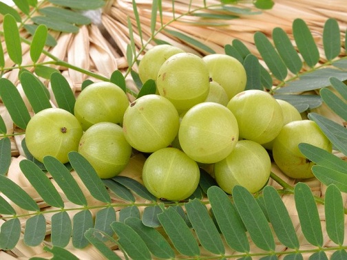 Neem, Ground Rice And Gooseberry Face Pack