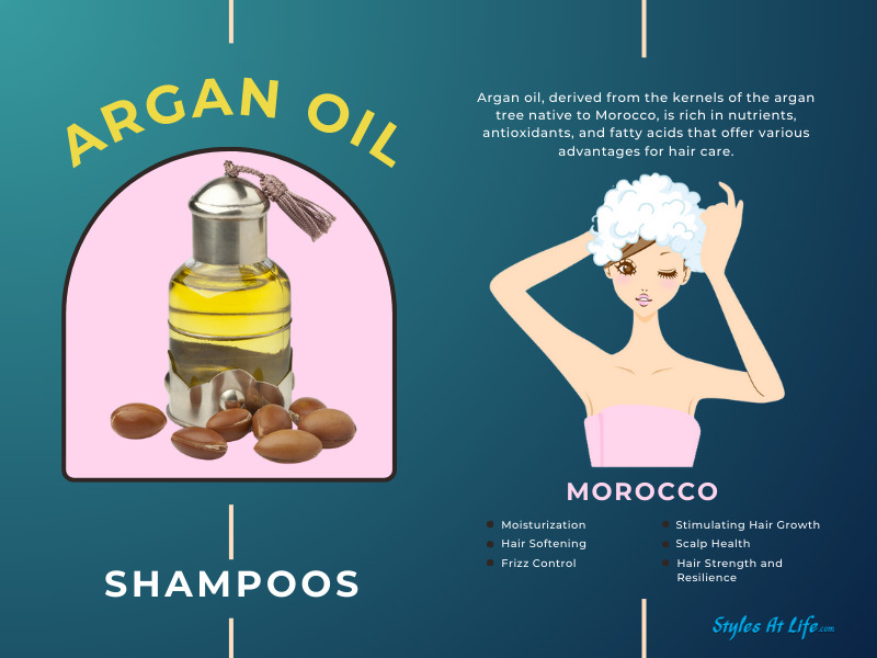 Best Moroccan Argan Oil Shampoos
