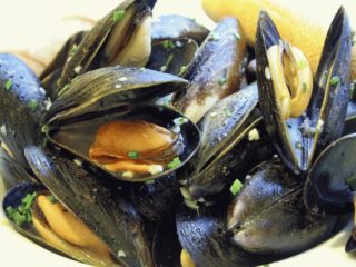 Can you Eat Mussels when Pregnant?