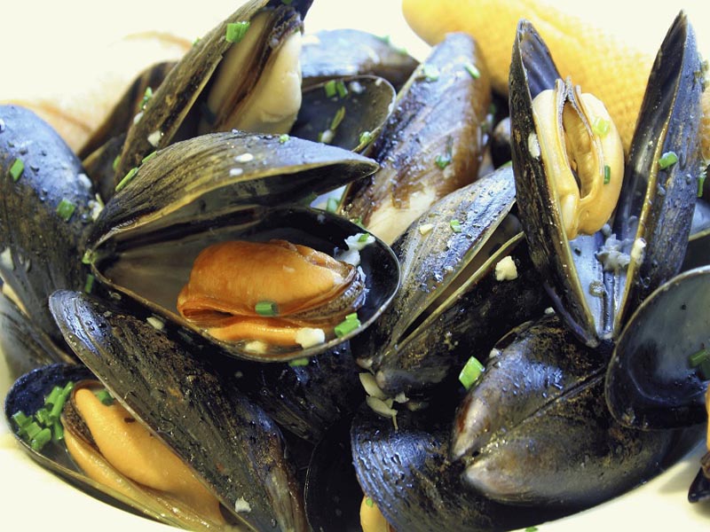 Can you Eat Mussels when Pregnant
