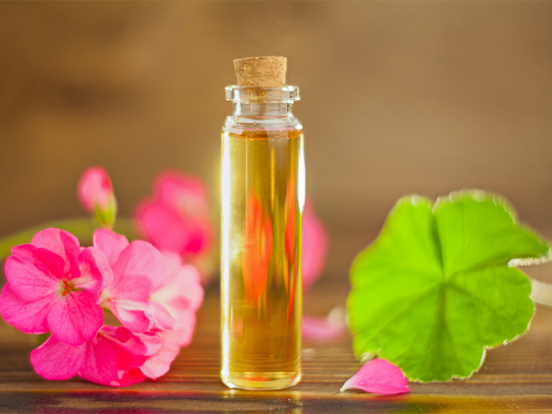 Holistic And Beauty Benefits Of Geranium Extracts