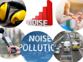 How To Prevent Noise Pollution: Types and Causes
