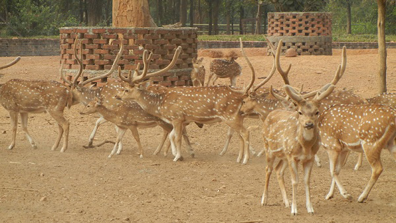 parks in jharkhand