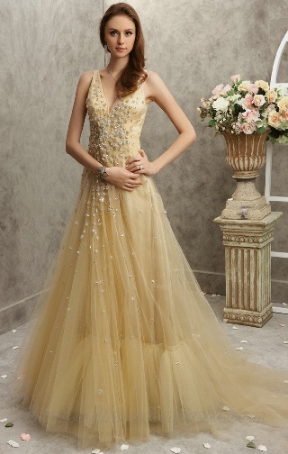 Princess Style Gold Dress
