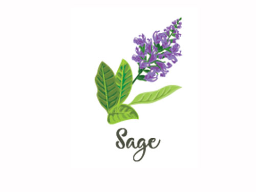 Sage Oil For Hair