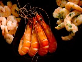 Benefits and Dangers of Eating Shrimp During Pregnancy