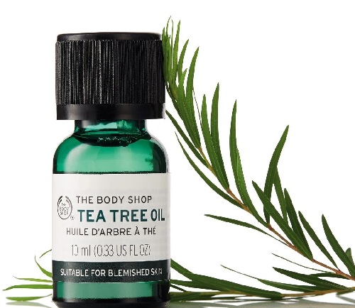 Tea Tree Oil to Treat Hormonal Acne
