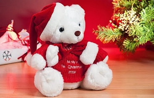 Teddy Bear Gift For Girlfriend
