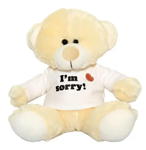 9 Best I M Sorry Gifts For Your Girlfriend Or Boyfriend Styles At Life