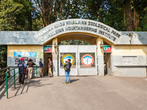 Padmaja Naidu Himalayan Zoological Park is one of the must-visit places in Darjeeling