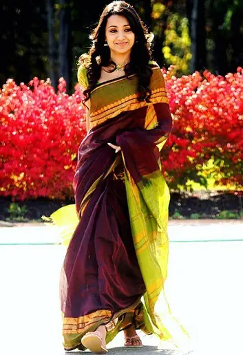 Top 9 Unforgettable Looks of Actress Trisha in Saree