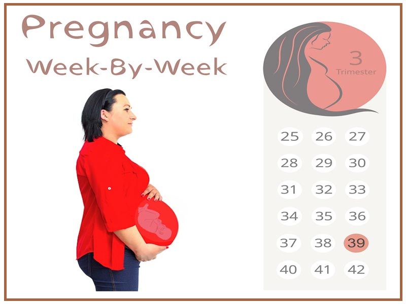 39th week of pregnancy