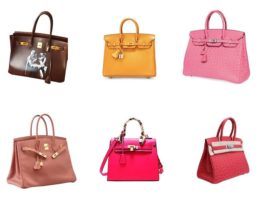 9 Best and Trending Birkin Handbags Designs in Different Colors