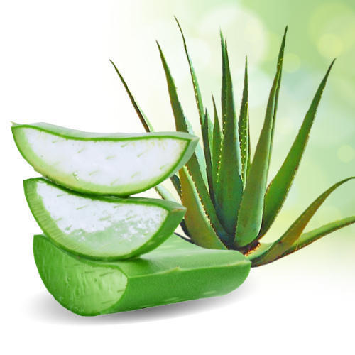 Aloe Vera Herbal Remedy for Acne