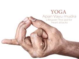 Apana Vayu Mudra (Hridaya Mudra) for Heart – Steps and Its Benefits