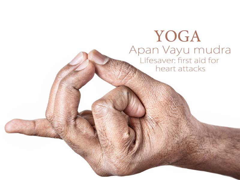 Apana Vayu Mudra Benefits And How To Do Steps