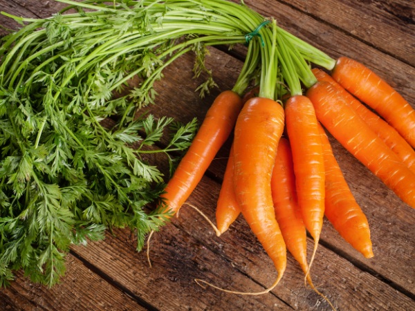 Carrot Is A Perfect Health Food Because It Contains Antioxidants