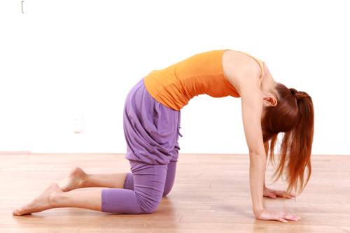 Cat Pose (marjariasana Or Bidalasana) - yoga exercises for lower back pain relief
