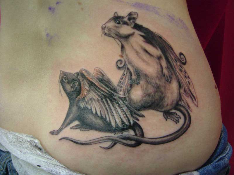 Rat Tattoo Designs