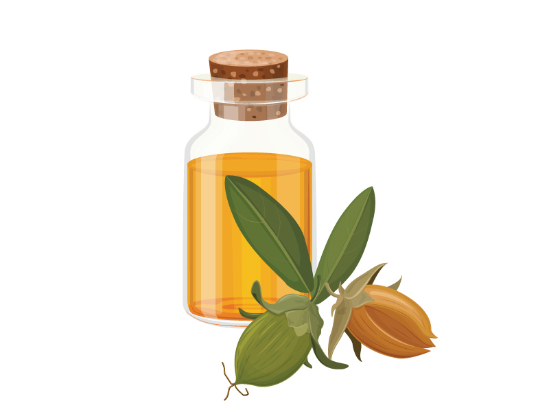 Is Jojoba Oil Good For Face Wrinkles And Acne
