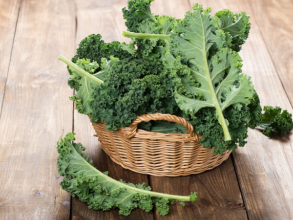 Kale Rich Source Of Antioxidants