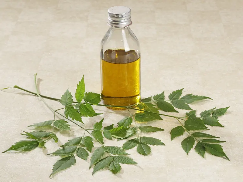 6 Benefits of Neem Oil for Hair You Cannot Ignore | Styles At Life