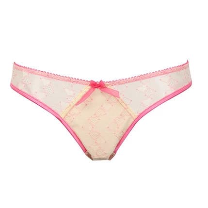 9 Perfect Women's Sheer Panties in Different Styles
