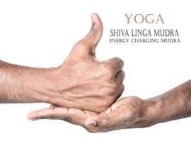 Shiva Linga Mudra: Meaning, Benefits, and Variations