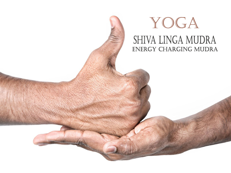 How To Do Shiva Linga Mudra and Benefits