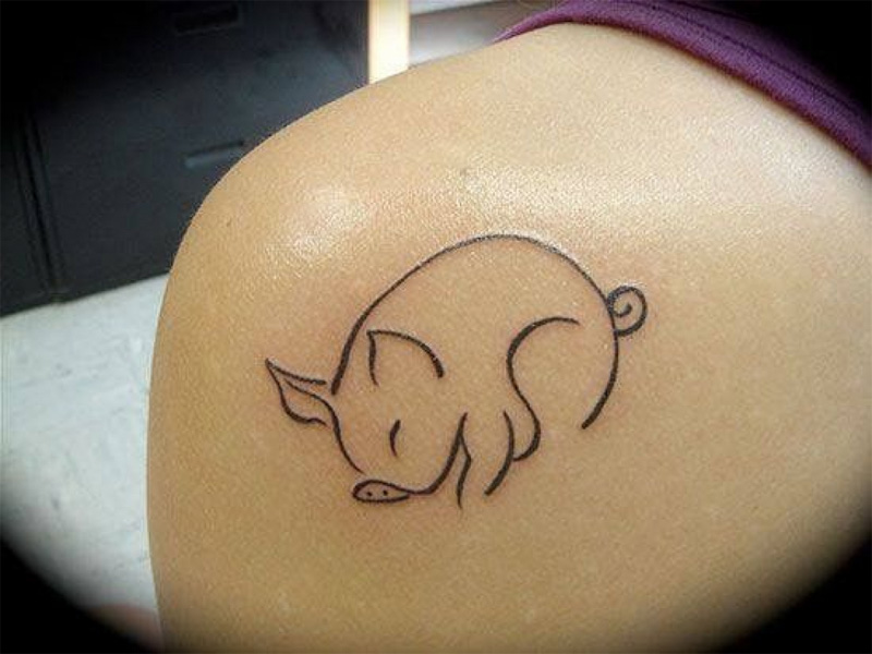 Pig Tattoo Designs
