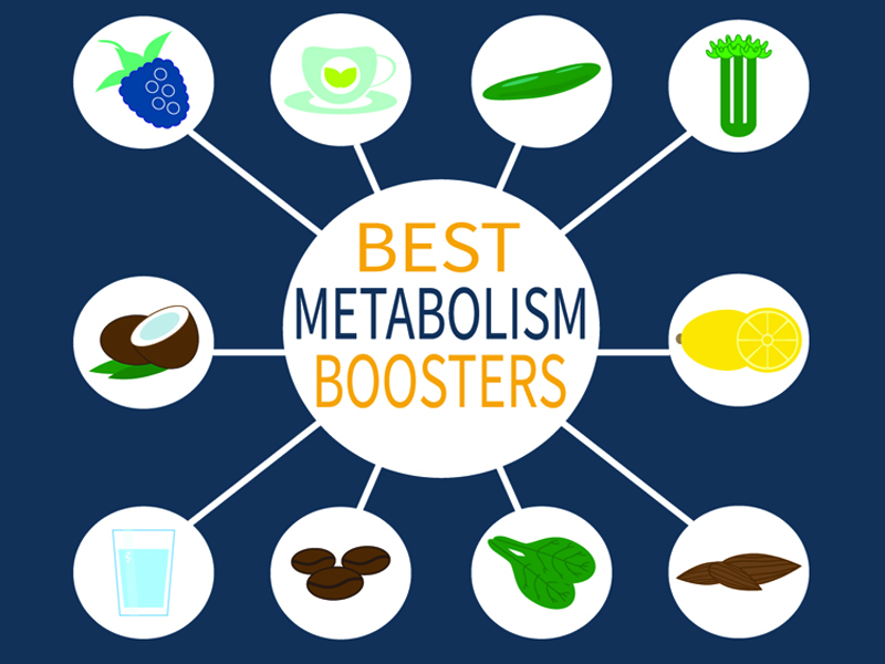 Top 9 Super Foods That Increase Your Metabolism