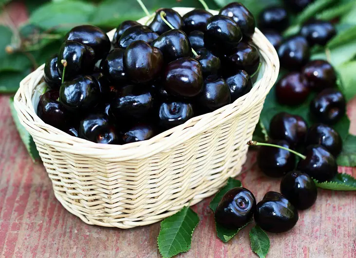 10 Health Benefits and Nutritional Facts of Cherries  NutritionFactin