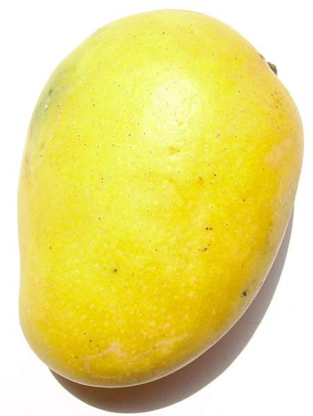 mango fruit benefits