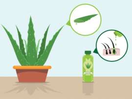 9 Aloe Vera Hair Oil Products for Healthy and Vibrant Hair