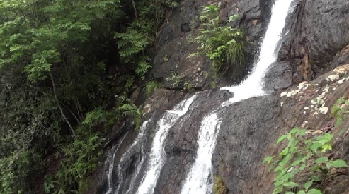 Maredumilli Amruthadhara Falls, Andhra Pradesh