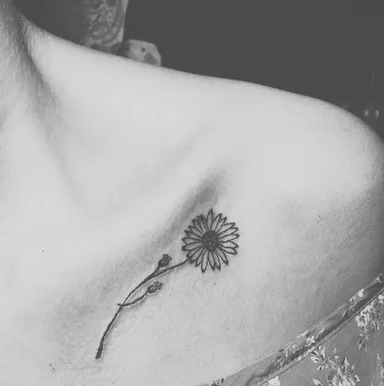 A tattoo daisy of Tattoos Book: