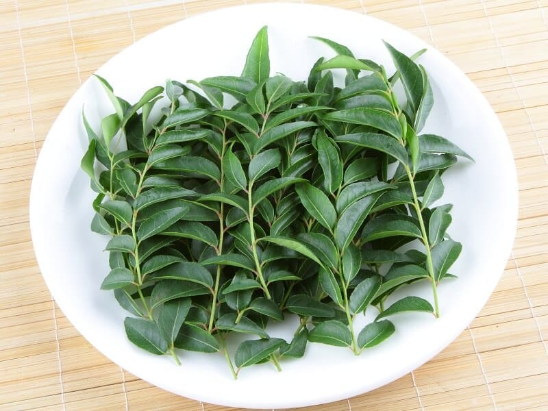 Curry Leaves for Hair Growth