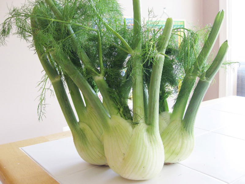 fennel benefits and uses