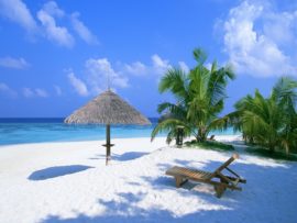 4 Most Popular Festivals To Celebrate in Lakshadweep Islands
