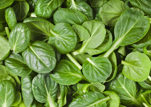 Spinach is a wonderful food rich in zinc