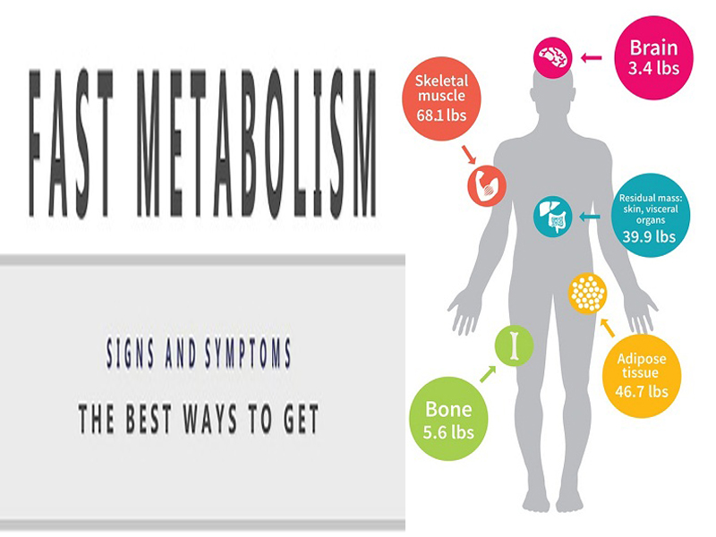 Ways To Get Fast Metabolism
