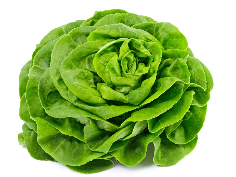 What Is Lettuce Types, Benefits And Side Effects 1