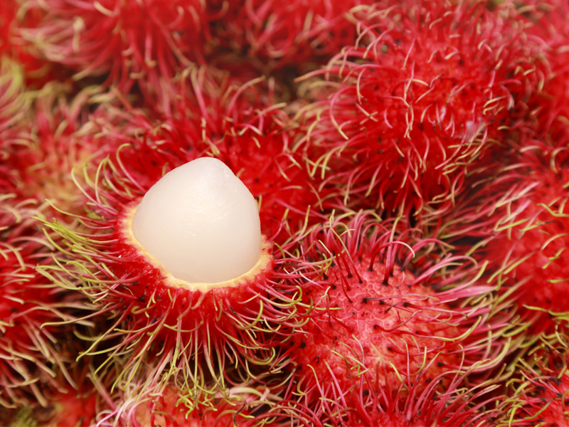 Nutritional Benefits Of Rambutan Fruit