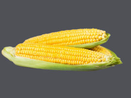 Top 15 Advantages And Benefits Of Corn