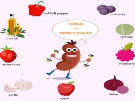 Top 9 Natural Healthy Foods for Kidney Patients