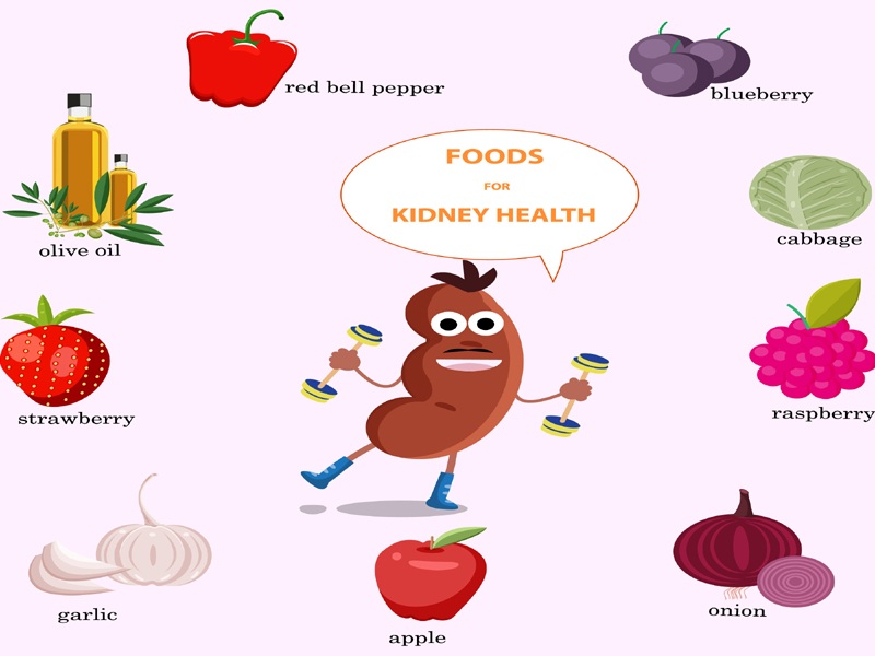 Foods For Kidney Patients