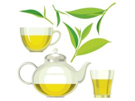 Top 9 Green Tea Leaves Benefits